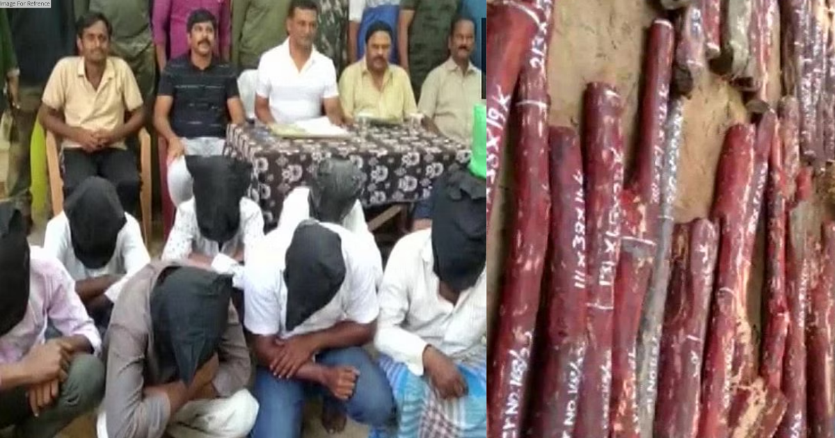 AP: 8 held for smuggling red sandalwood logs in Tirupati